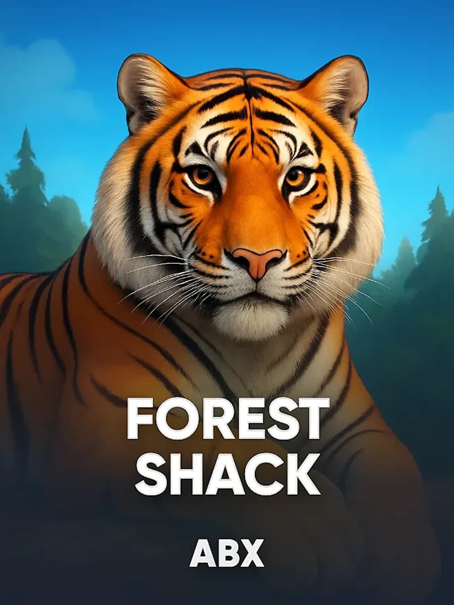 Forest Shack