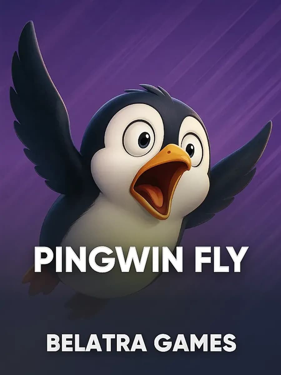 PingWin Fly