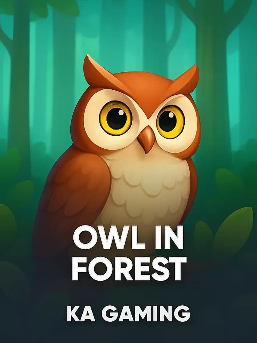 Owl In Forest