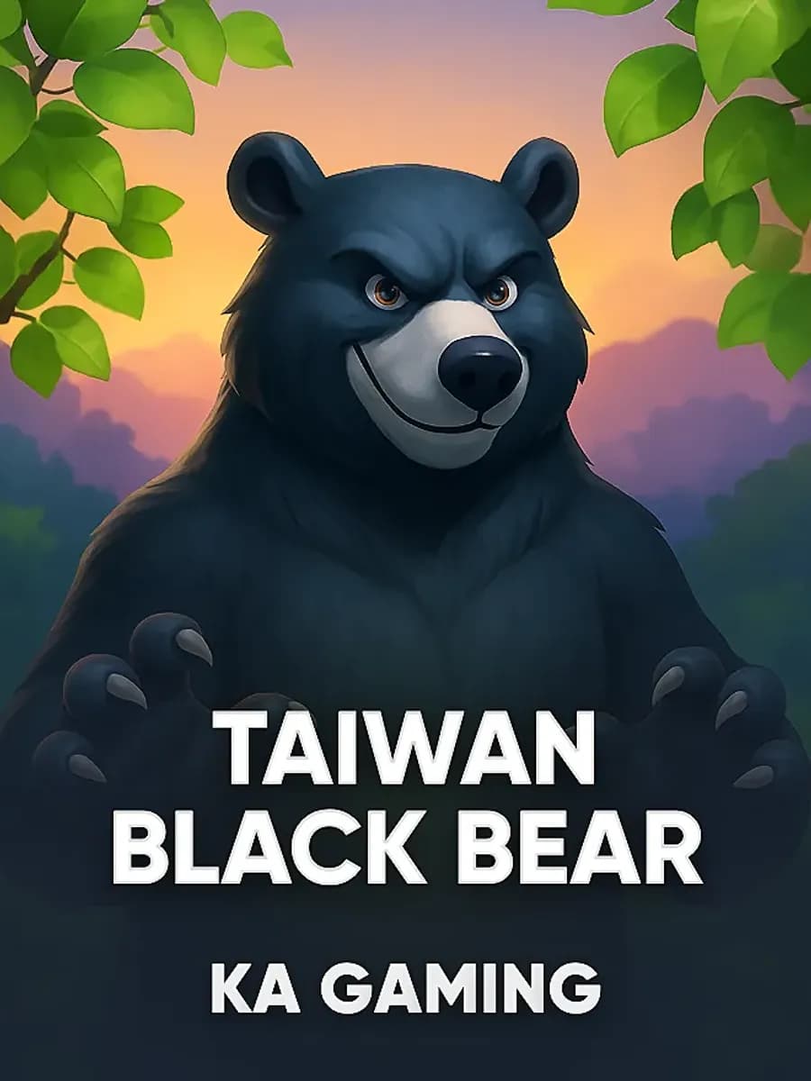Taiwan Black Bear