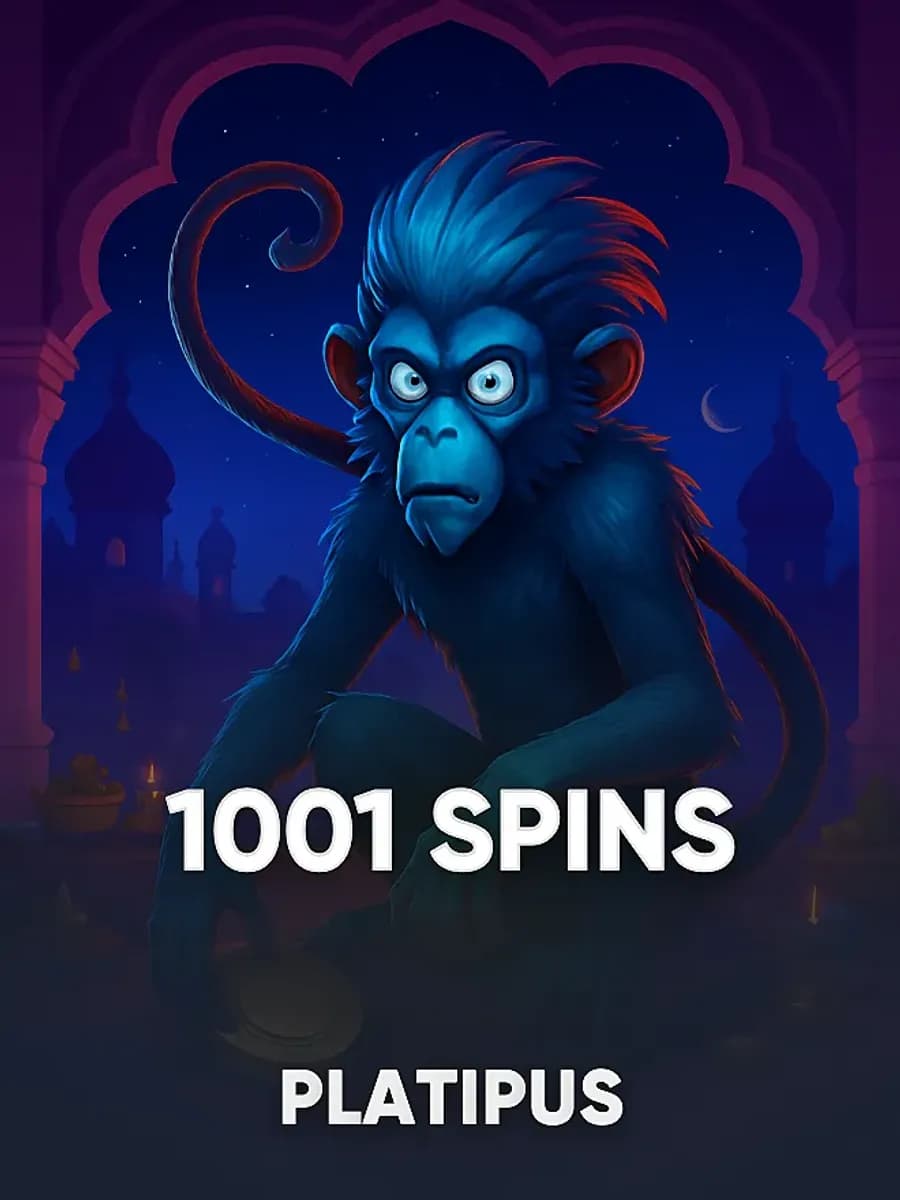 1001 Spins