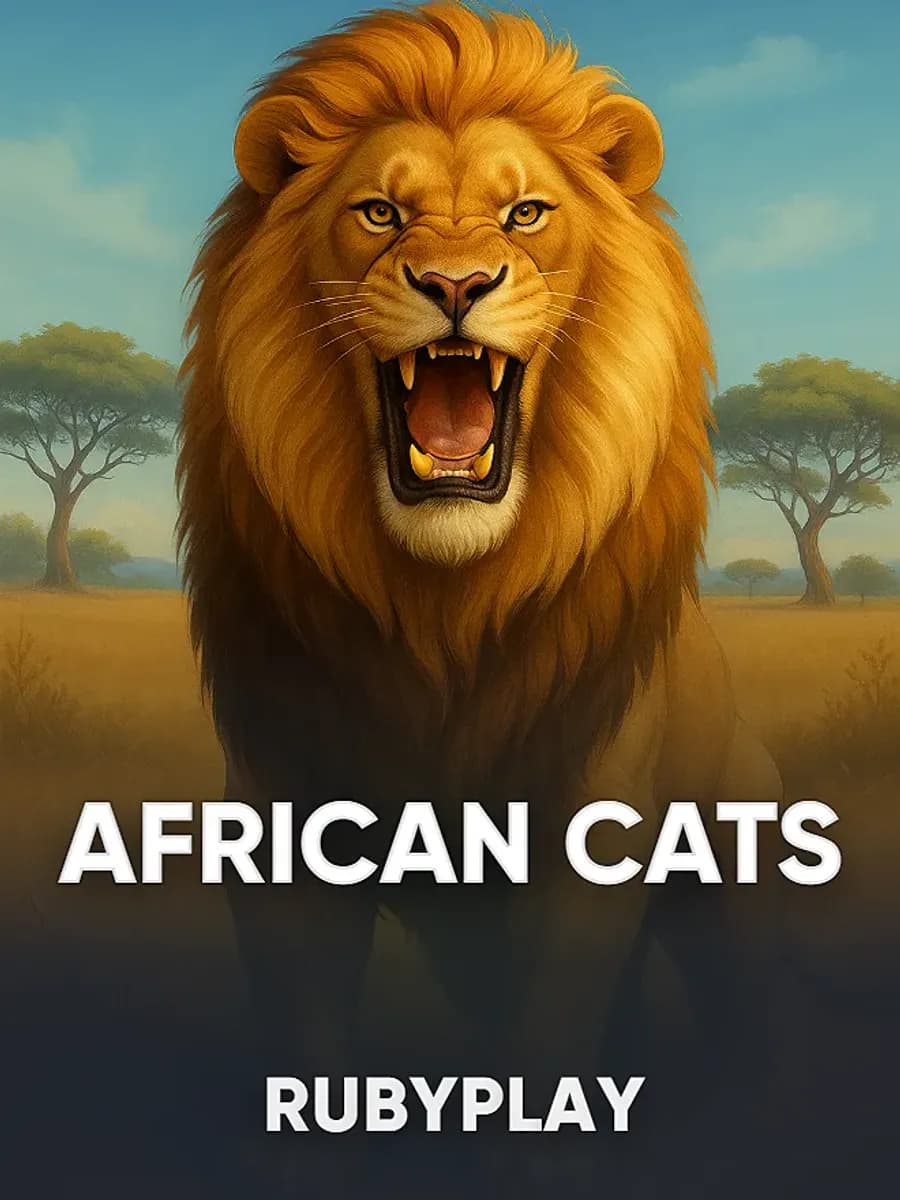 African Cats